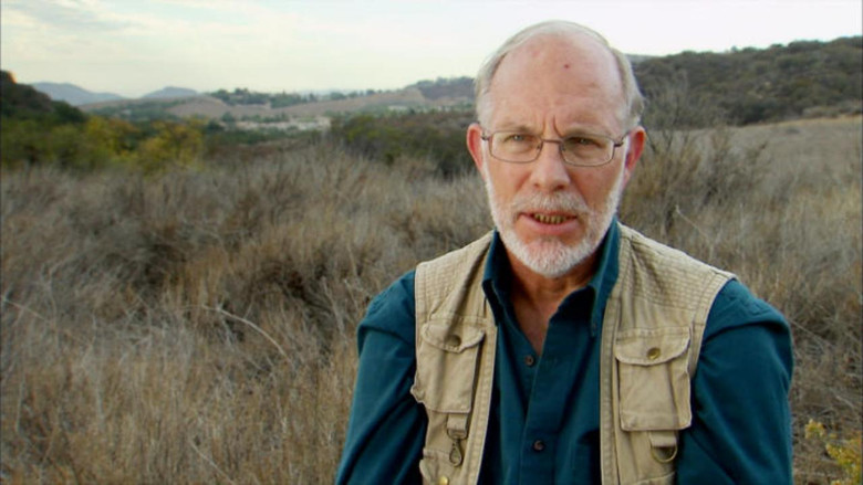 Божественное разрушение