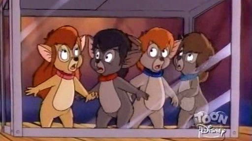 Пушистые непоседы