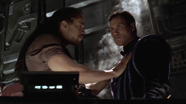 Тотальный риск