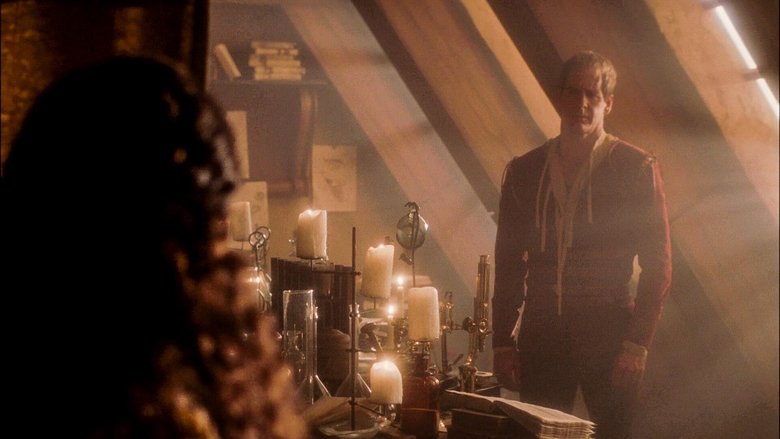 Цивилизация