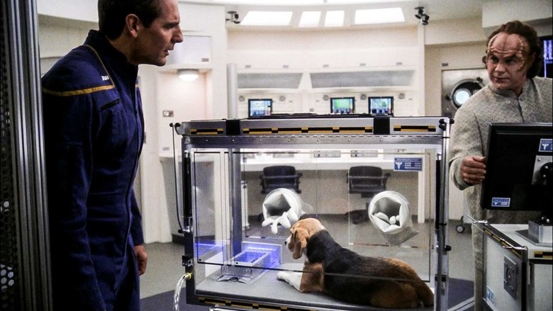 Ночь в медотсеке