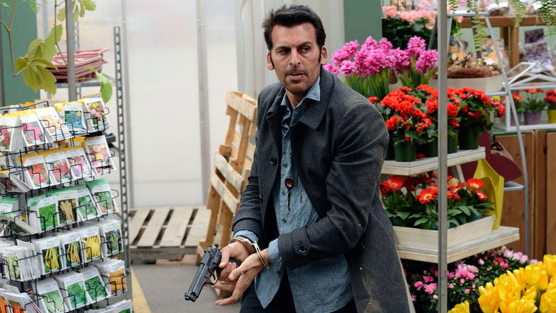 Леди Звездная пыль