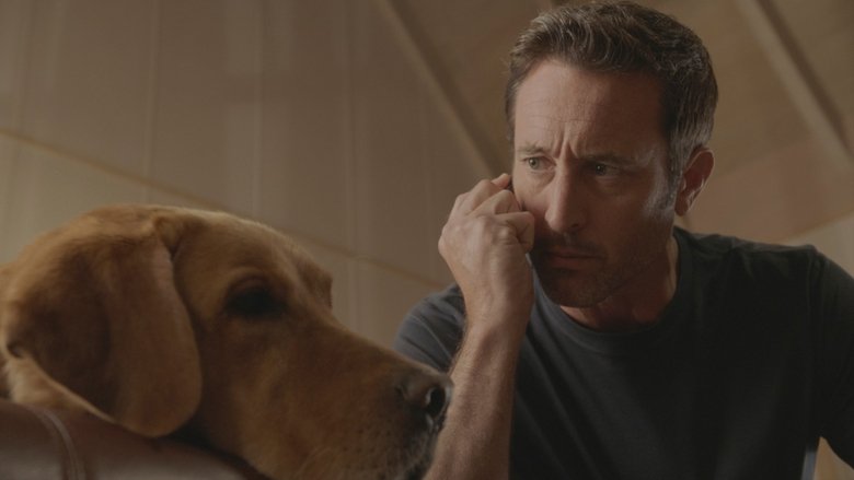 Сначала было тихо, а затем поднялся ветер