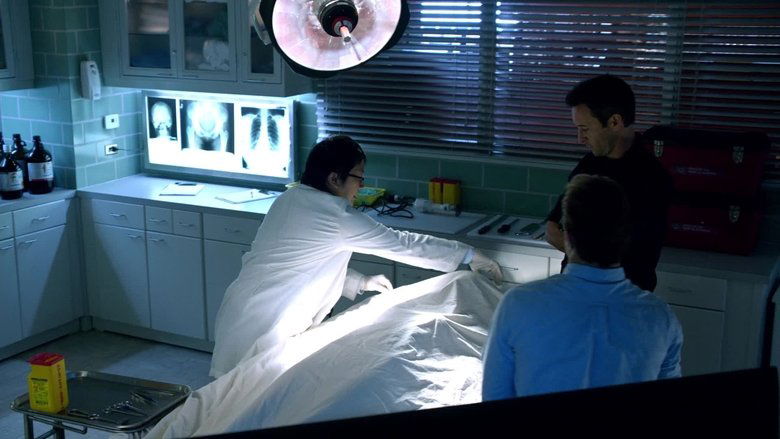 Брошены или пропали