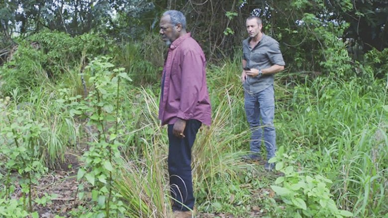 Чистая совесть