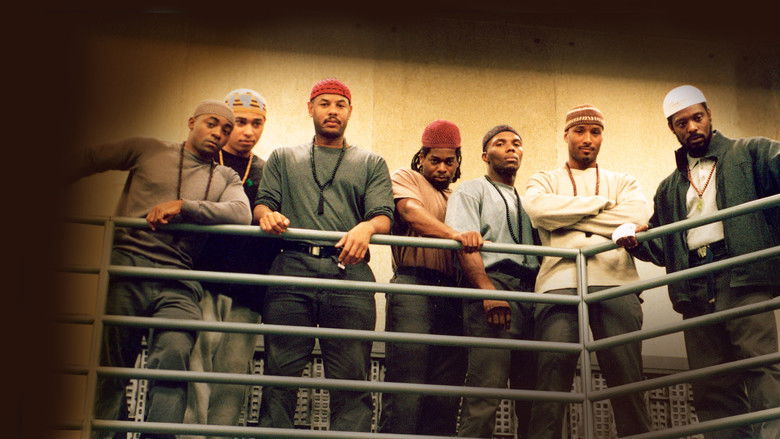 Снежная буря