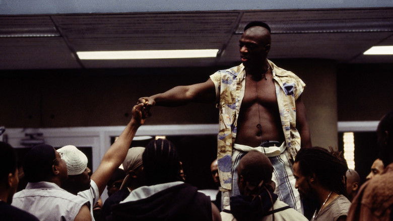 Город без жалости