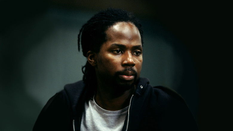 Редкая среда