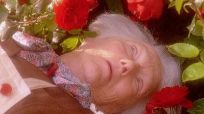 Мертвые головы