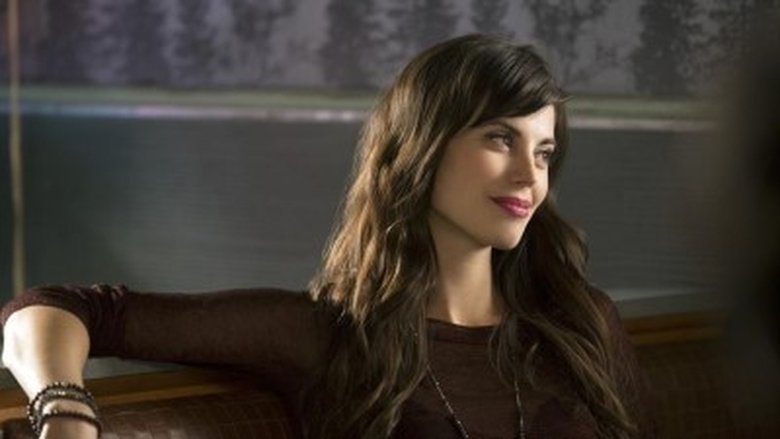 Снежный занос