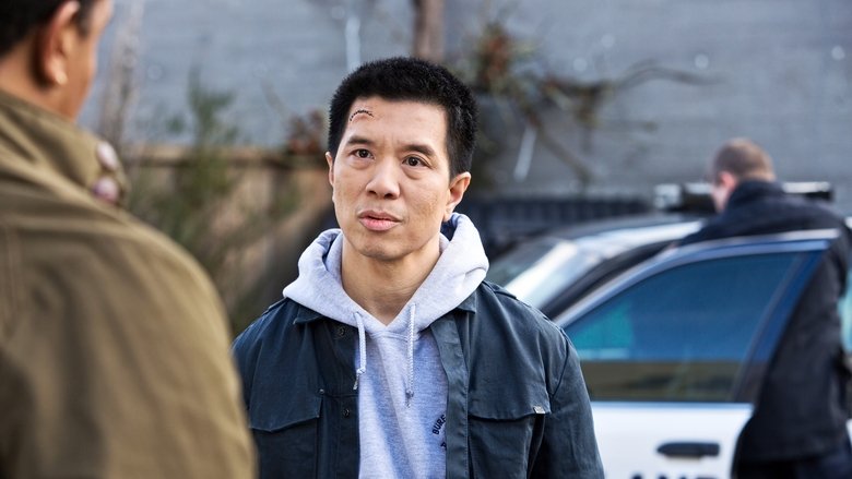 Укрощение Ву