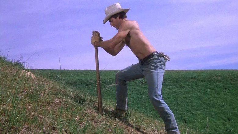 Как Тесс была завоевана