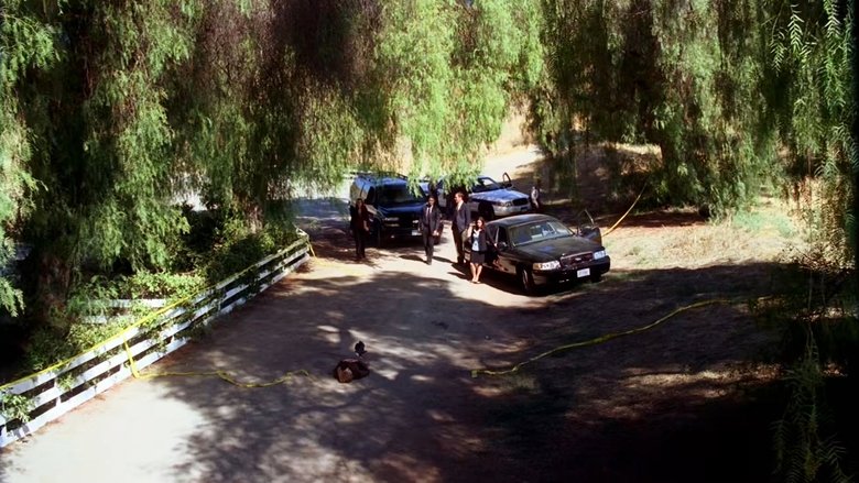 Разбитое зеркало