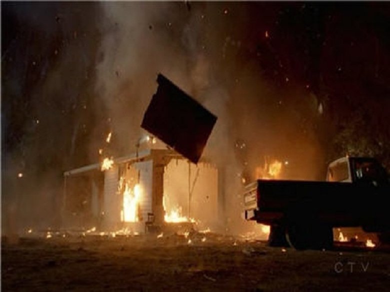 Слоновья память