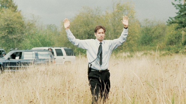 Поле, где я умер