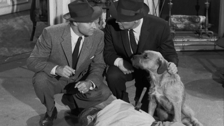 Дело об украденном дневнике