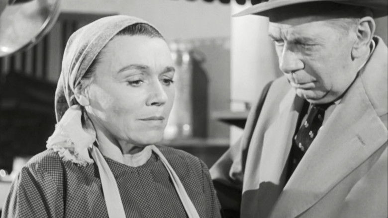 Дело беглой медсестры