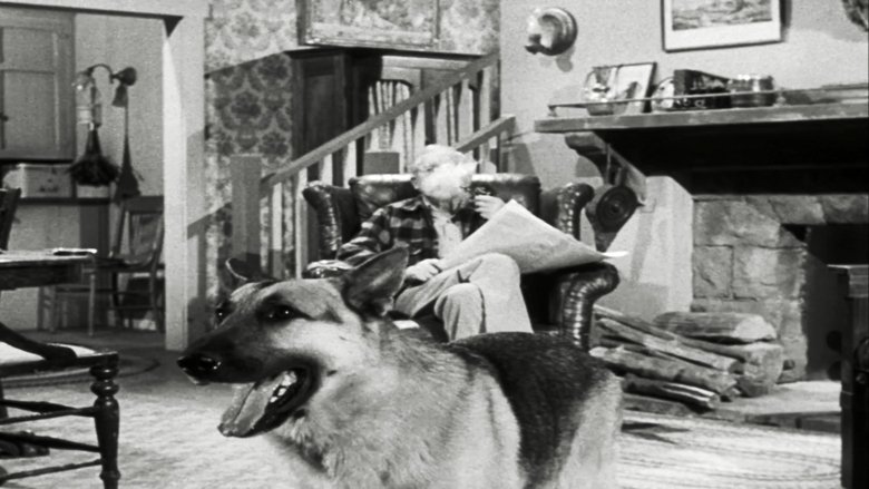 Дело ленивого любовника