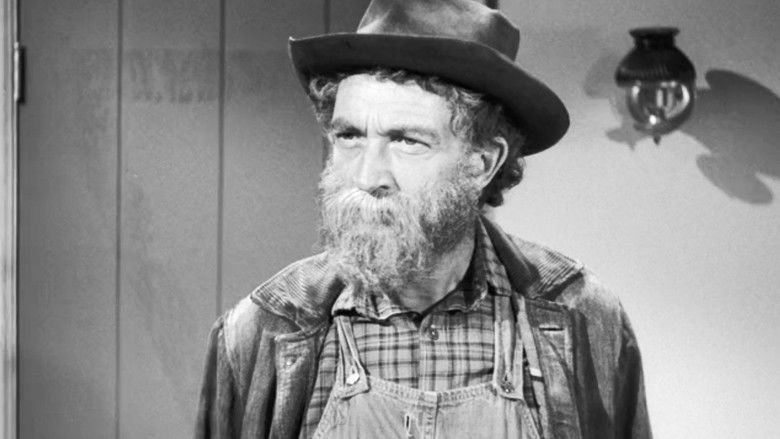 Дело о застенчивом осле