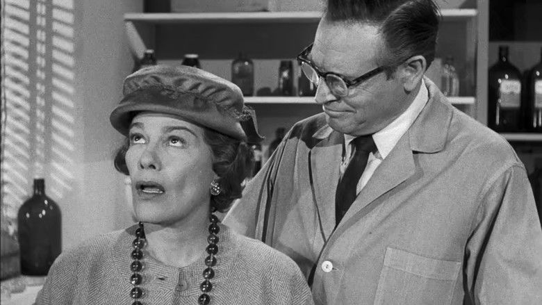 Дело трусливого льва