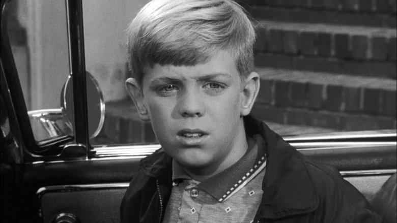 Дело о блуждающей вдове