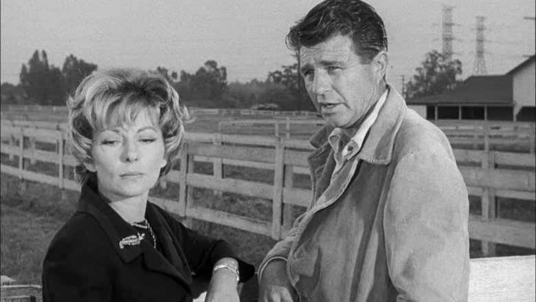 Дело о скаковой лошади