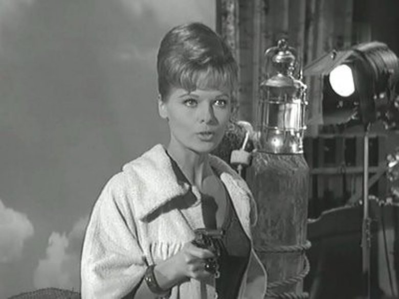 Дело о нескромной камере