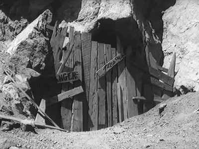 Дело о сонном моските