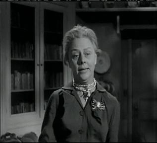 Дело о неосторожном котенке