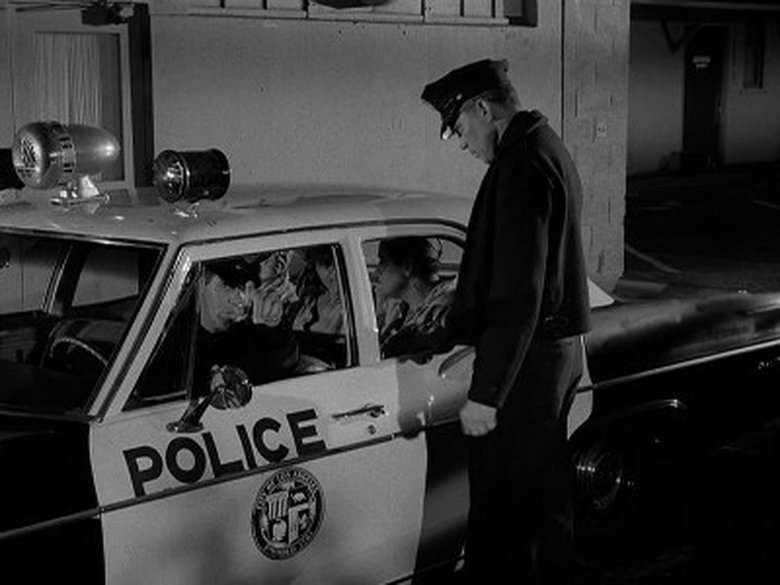 Дело о фальшивых пиратах