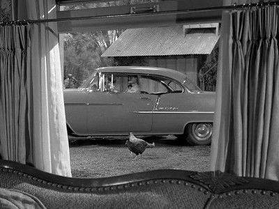 Дело торопливого молодожена