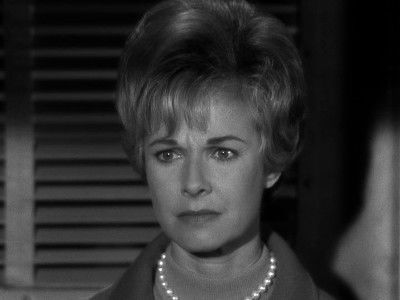 Дело о двенадцатом диком коте