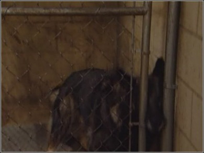 Перемена обстановки для Бака