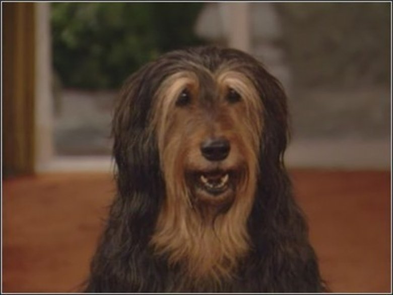 25 лет, и что ты имеешь?