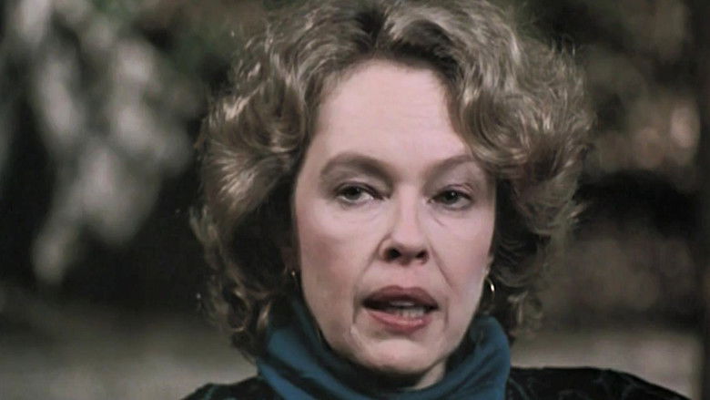 Из прошлого