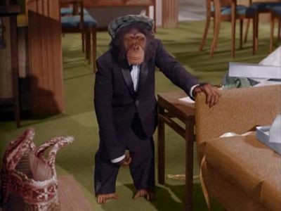 По кличке Даррин Стивенс