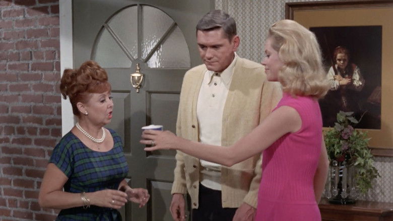 Двойная домохозяйка