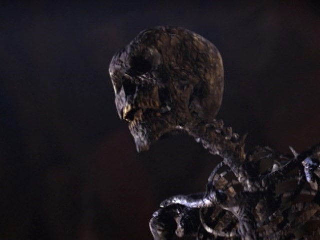 Их кости, их кости