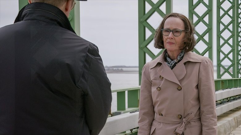 Мистер Каплан: Заключение