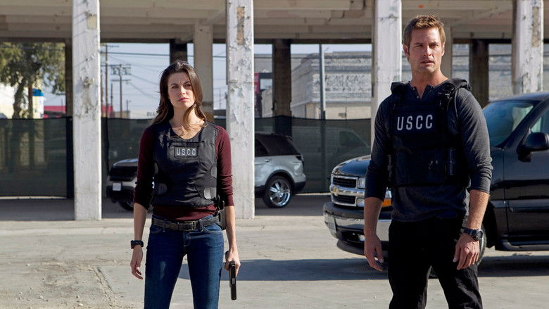 Серый хакер