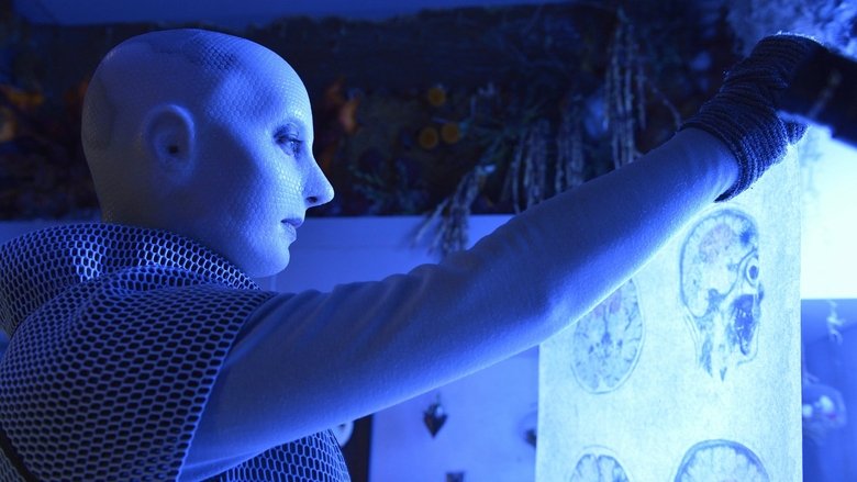 История рифмуется