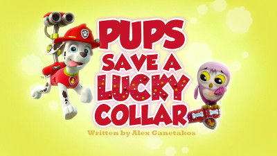 Щенки спасают счастливый ошейник