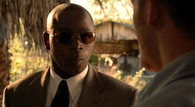 Шумный край