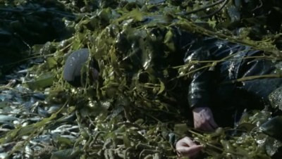 Искатели смотрителей