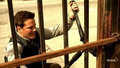 Чёрный лебедь