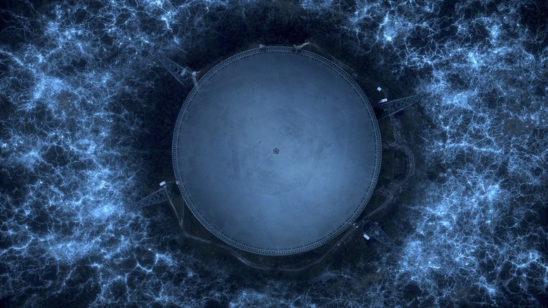 Поиск разумной жизни на Земле