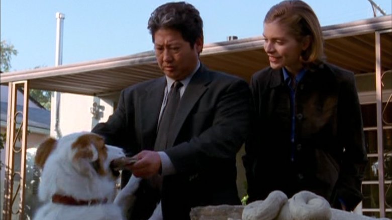 Жаркий полдень