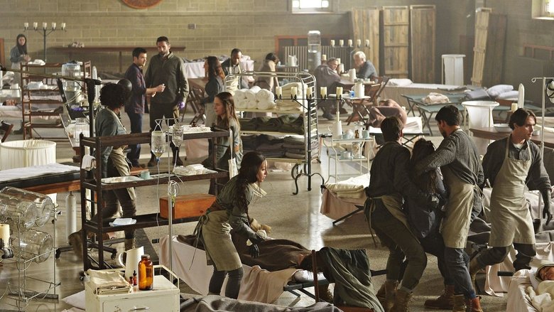 Яблоня домашняя