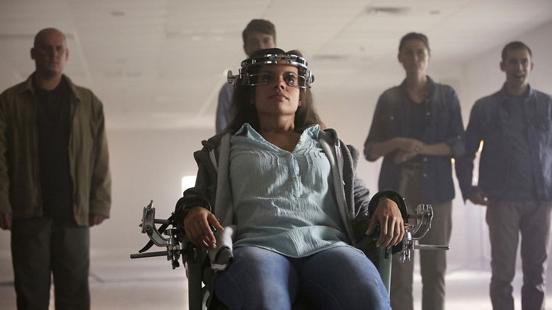 Кроличья нора