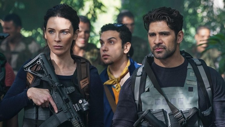 Туман войны